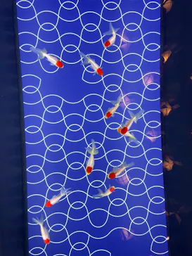 すみだ水族館に投稿された画像（2021/6/14）