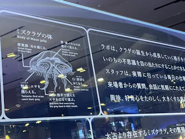 すみだ水族館に投稿された画像（2021/6/14）