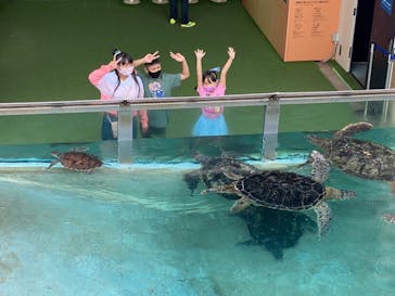 新江ノ島水族館に投稿された画像（2021/6/14）