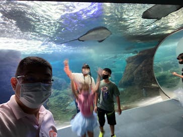 新江ノ島水族館に投稿された画像（2021/6/14）