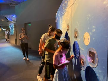 新江ノ島水族館に投稿された画像（2021/6/14）