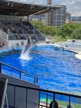 京都水族館に投稿された画像（2021/6/14）