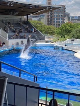 京都水族館に投稿された画像（2021/6/14）