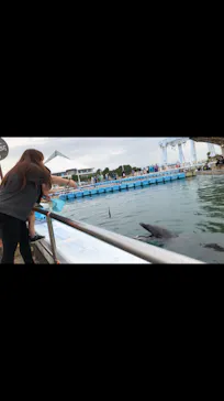 横浜・八景島シーパラダイスに投稿された画像（2021/6/14）