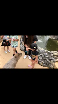 横浜・八景島シーパラダイスに投稿された画像（2021/6/14）