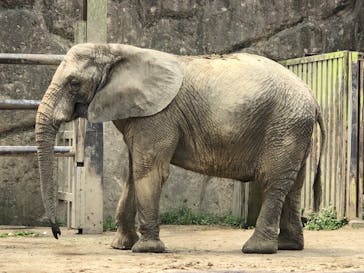 東武動物公園に投稿された画像（2021/6/14）