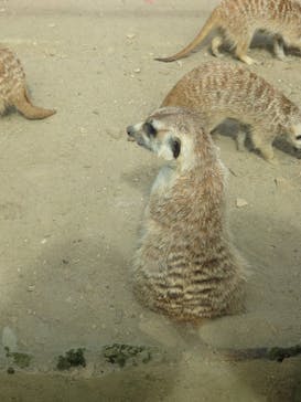 よこはま動物園ズーラシアに投稿された画像（2021/6/14）