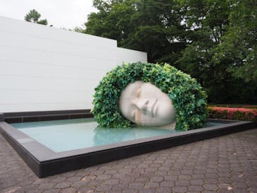 彫刻の森美術館に投稿された画像（2021/6/14）