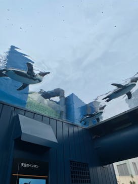サンシャイン水族館に投稿された画像（2021/6/14）