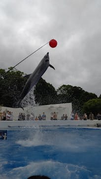 九十九島水族館海きららに投稿された画像（2021/6/14）