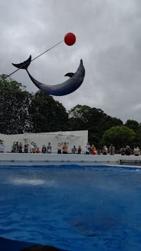 九十九島水族館海きららに投稿された画像（2021/6/14）