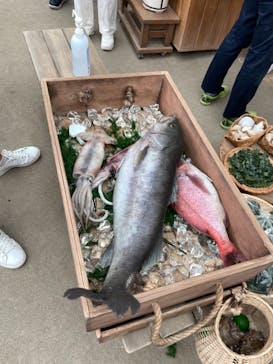 西武園ゆうえんちに投稿された画像（2021/6/14）