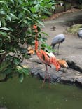 伊豆シャボテン動物公園に投稿された画像（2021/6/15）