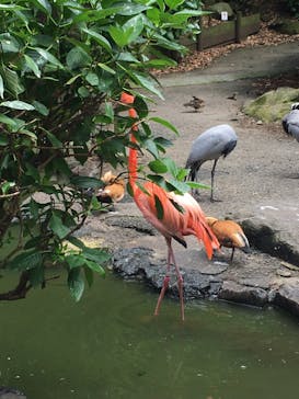 伊豆シャボテン動物公園に投稿された画像（2021/6/15）