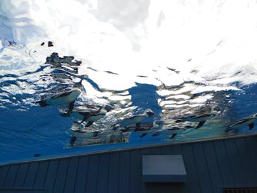 サンシャイン水族館に投稿された画像（2021/6/15）