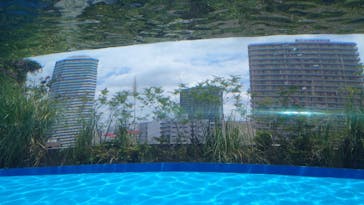 サンシャイン水族館に投稿された画像（2021/6/15）