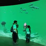 カワスイ 川崎⽔族館に投稿された画像（2021/6/15）