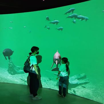 カワスイ 川崎⽔族館に投稿された画像（2021/6/15）