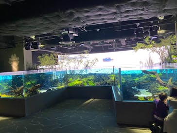 カワスイ 川崎⽔族館に投稿された画像（2021/6/15）