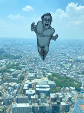 横浜ランドマークタワー 69階展望フロア スカイガーデンに投稿された画像（2021/6/15）