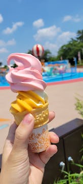 西武園ゆうえんちに投稿された画像（2021/6/15）