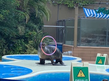 サンシャイン水族館に投稿された画像（2021/6/15）