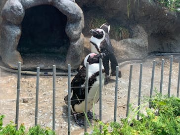 サンシャイン水族館に投稿された画像（2021/6/15）