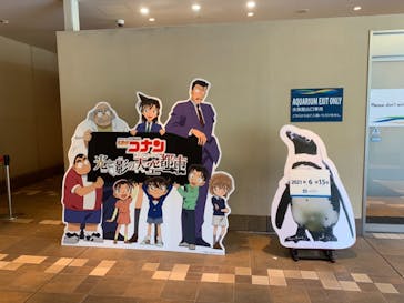 サンシャイン水族館に投稿された画像（2021/6/15）