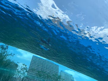 サンシャイン水族館に投稿された画像（2021/6/15）