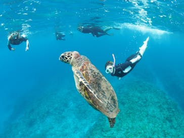 マリンクラブ ベリー 那覇店に投稿された画像（2021/6/15）