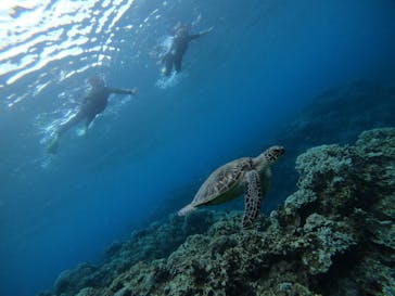 マリンクラブ ベリー 那覇店に投稿された画像（2021/6/15）