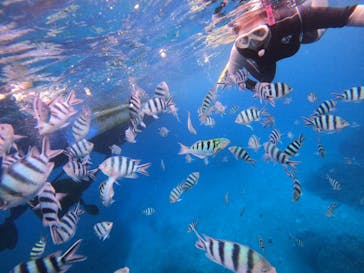 マリンクラブ ベリー 那覇店に投稿された画像（2021/6/15）