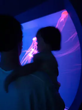 すみだ水族館に投稿された画像（2021/6/15）