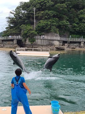 下田海中水族館に投稿された画像（2021/6/16）