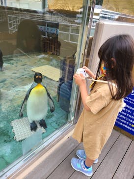 下田海中水族館に投稿された画像（2021/6/16）