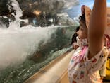 しながわ水族館に投稿された画像（2021/6/16）