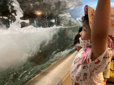 しながわ水族館に投稿された画像（2021/6/16）