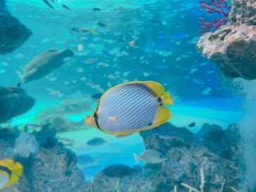サンシャイン水族館に投稿された画像（2021/6/16）