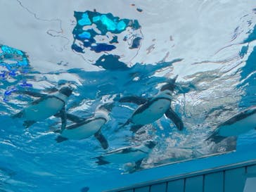 サンシャイン水族館に投稿された画像（2021/6/16）