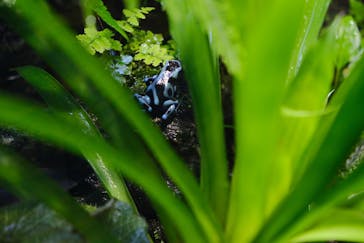 サンシャイン水族館に投稿された画像（2021/6/16）
