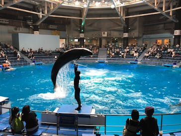 マクセル アクアパーク品川に投稿された画像（2021/6/17）