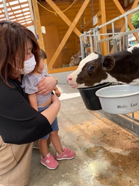 まかいの牧場に投稿された画像（2021/6/17）
