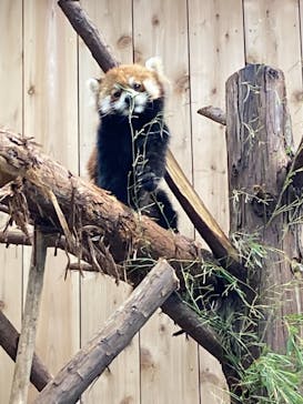伊豆シャボテン動物公園に投稿された画像（2021/6/17）