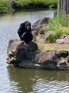 伊豆シャボテン動物公園に投稿された画像（2021/6/17）