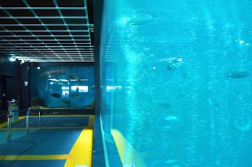 箱根園水族館に投稿された画像（2021/6/17）