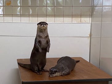 箱根園水族館に投稿された画像（2021/6/17）