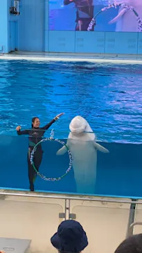 横浜・八景島シーパラダイスに投稿された画像（2021/6/17）