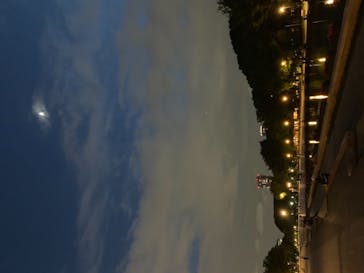 特別展「国宝　鳥獣戯画のすべて」に投稿された画像（2021/6/17）