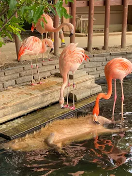 横浜・八景島シーパラダイスに投稿された画像（2021/6/18）