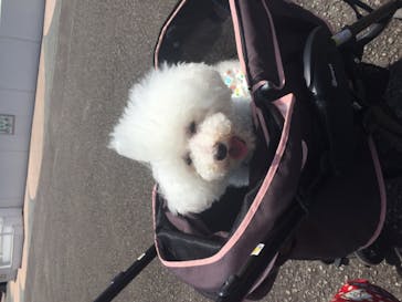 京急油壺マリンパークに投稿された画像（2021/6/18）